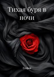 Тихая буря в ночи