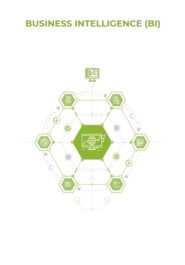Business Intelligence (BI)