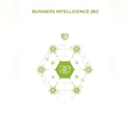 Business Intelligence (BI)