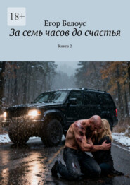 За семь часов до счастья. Книга 2