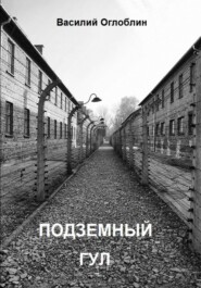 Подземный гул. Роман в новеллах