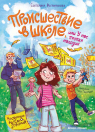 Происшествие в школе, или У нас пропал находик