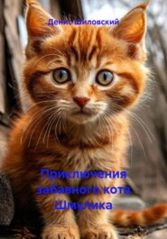 Приключения забавного кота Шмулика