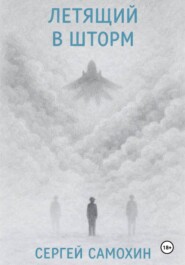Летящий в шторм