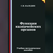 Функции казначейских органов