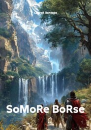 SoMoRe BoRse