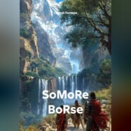 SoMoRe BoRse
