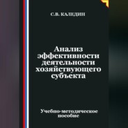 Анализ эффективности деятельности хозяйствующего субъекта