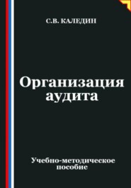 Организация аудита