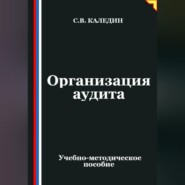 Организация аудита
