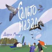 Сальто назад