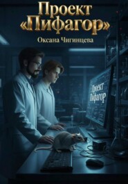 Проект «Пифагор»