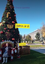 Зима и я. Поэзия