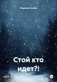 Стой кто идет?!