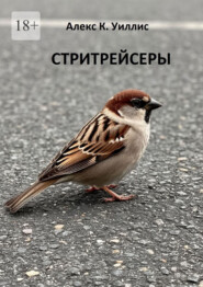 Стритрейсеры