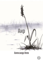 Аир