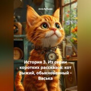 ИСТОРИЯ 3. ИЗ СЕРИИ КОРТКИХ РАССКАЗОВ: КОТ РЫЖИЙ, ОБЫКНОВЕННЫЙ – ВАСЬКА