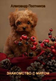 Знакомство с миром