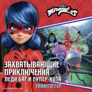 Леди Баг и Супер-Кот. Таймтэггер