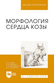 Морфология сердца козы. Монография. 2-е издание, стереотипное