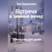Встреча в зимний вечер