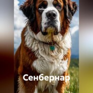 Сенбернар
