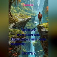 Тайный незнакомец. Приключение меж мирами Книга 2