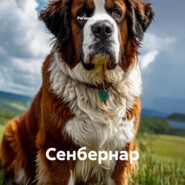Сенбернар