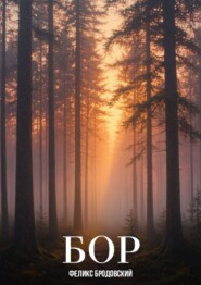 Бор. Из сборника новелл и рассказов «Мгновения»