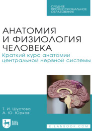 Анатомия и физиология человека. Краткий курс анатомии центральной нервной системы. Учебное пособие для СПО