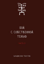 Бой с собственной тенью. Заметки православного воина (книга вторая)