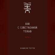 Бой с собственной тенью. Заметки православного воина (книга вторая)
