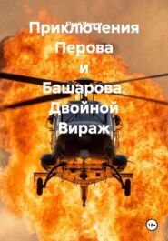 Приключения Перова и Башарова. Двойной Вираж