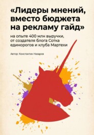 Лидеры мнений, вместо бюджета на рекламу гайд
