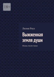 Выжженная земля души. Жизнь после гонки