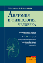 Анатомия и физиология человека