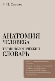 Анатомия человека. Терминологический словарь