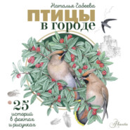 Птицы в городе. 25 историй в фактах