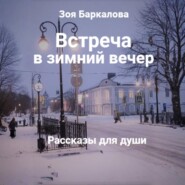 Встреча в зимний вечер