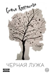 Чёрная лужа