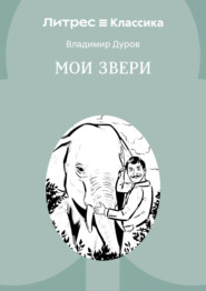 Мои звери
