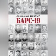 БАРС-19