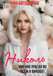 Николь. Именно ураган во всём и виноват