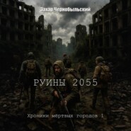 Руины 2055. Хроники мёртвых городов 1
