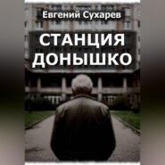 Станция Донышко