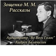 Зощенко М.М. Рассказы