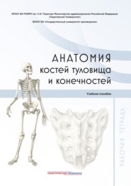 Анатомия костей туловища и конечностей. Рабочая тетрадь