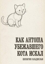 Как Антоша убежавшего кота искал