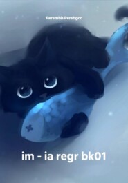 im - ia regr bk01