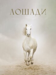 Лошади